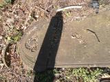image of grave number 683131